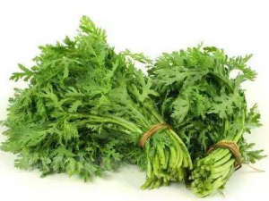 ����Ĺ�Ч������ ��������ʳ�ø�Ӫ��