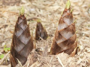 ��Щ�˲��ܳ��� �����˶�Ե�ԭ��