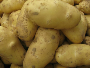 ���������ص���֬����ʣ ���������ϵÿ�