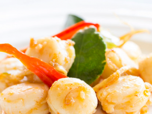 ��������������ЩΣ�� ���������򲡵�����ƫ��