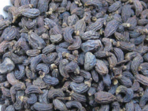 Ů��������Щ���� Ů���ӵĹ�Ч����