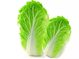 ��ײ˵������������ �ײ�ҩ�ü�ֵ