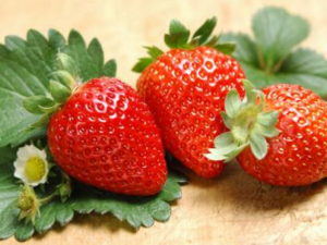 ��ݮ����Щ���� ��ݮ�Ĺ�Ч