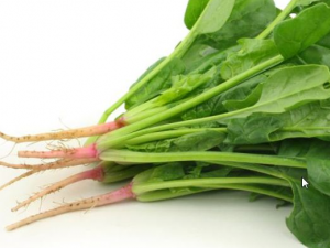 ��Щʳ������Ů���طŹ��