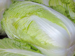 �ײ������ ʲô���İײ˺ó���