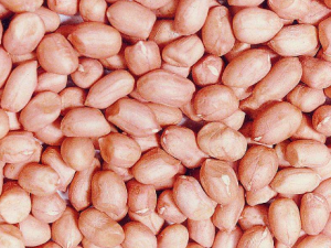 ��������Щ���� ��Щ��Ҫ�ٳԻ���