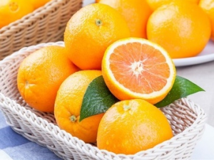 �١��ȡ��֡�����γԸ�Ӫ�� �١��ȡ��֡��̵���⿷���