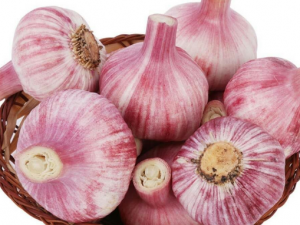 ����ֹ��Ѫ�� ֹ��Ѫ����Щƫ��