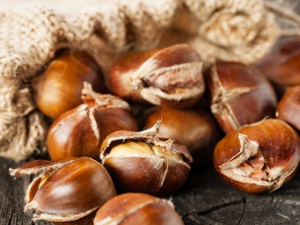 ��β��������Ϻõİ��� ��������ѡ����