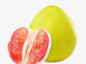 ������������������ ����Ƥ�ο�������