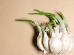 ���ⷢѿ�ܳ��� ��Щ������ѿ���ܳ�