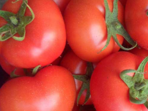 ʲô���ķ��Ѻ��� �����ѡ����