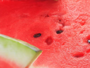 �������������ЩҪע��� ��Щ�˲��˶����