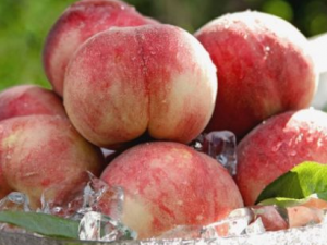 �����ѡ���� ʲô�������Ӻó�