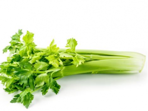 ����Ϊʲô���ܶ���۲� �۲˵�Ӫ����ֵ