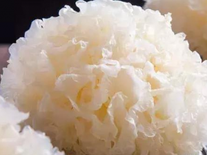 ����Ӧ�����ѡ ʲô����������