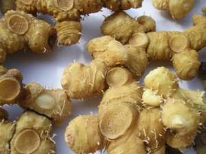 ʲô���ӿ���������˥�� ��֪����