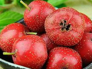 ɽ�ʲô���ĺó� ���ѡ��ɽ�