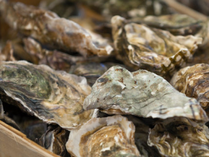 ����ʳ����ˮ����Σ�����彡��