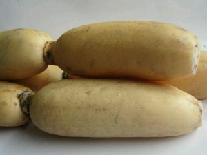 ɽҩ��ô�Ժ� С���Ƽ�4��ɽҩ��ʪʳ��