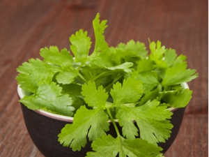 ��ʲô�ܲ���׳���� ���ԵĲ���׳�����߲��Ƽ�