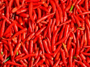 ȥ����ʪ������ʳ�� ��֪������Щ��