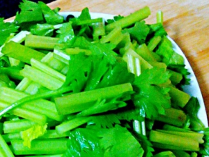 �۲˺óԵ����� ���ѡ�������۲�