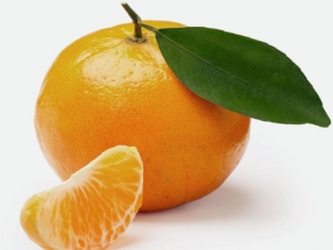 ���ӵ�Ӫ����ֵ ϸ˵���ӵĹ�Ч������