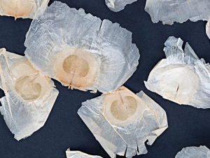 �������ˮ�ȵĽ���