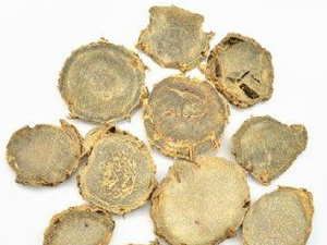 ��������Щ���� ����������Щ����