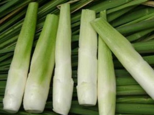 ���׵�ҩ�ü�ֵ ���׵Ĺ�Ч������