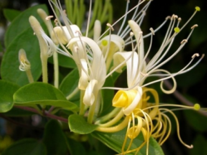 ���ý������Ľ�������Щ