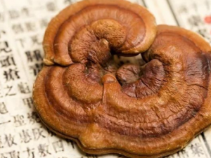 ��֥����ʳ�÷��� ��֥�˹�Ч����