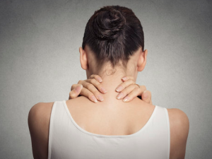 ����������������