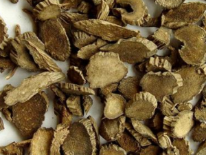 ţϥ����������������Ч