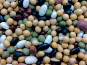 ���Ӷ�����Щ��Ч ���ӵ�Ӫ����ֵ