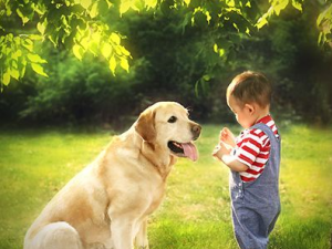 ���Ԥ����Ȯ�� ��Ȯ������α���