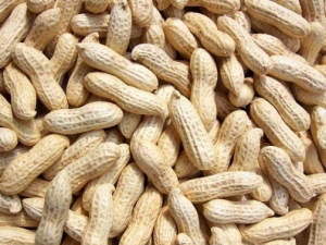 ������Ӫ����ֵ ÿ���˶��ʺϳԻ�����