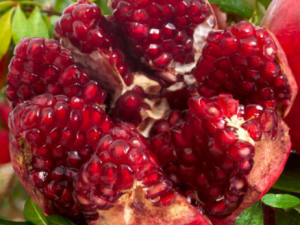 �����ѡʯ��ź� ʲô����ʯ������