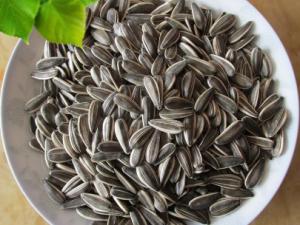 ��ѡ�������ѡԭζ���� С����ߴ����ô�����ù���