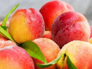 ���������������ٹ�Ч ���������