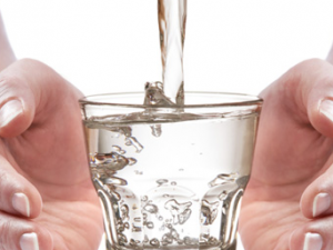 4��ʳ��ϸ���� ��ñ��