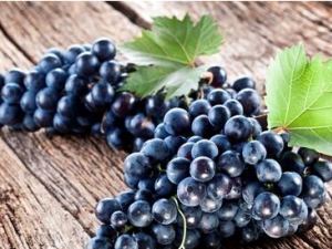 ʳ���Ƽ��������ࡱ �����������Ҳ�