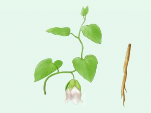 ��Ѫѹ������Щ֢״ ���Ƶ�Ѫѹ��ƫ���Ƽ�