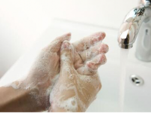 ��������Ҫ��ʲô�� �������Ԥ��������