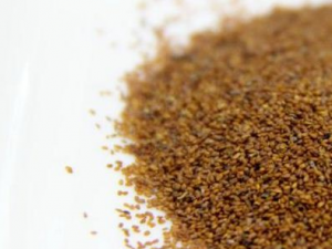 �������������������� ����������ƫ��