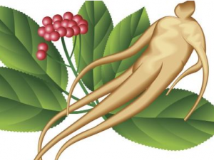 ��������Щ���� ͷ���ܷ���������