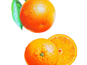 ����Ƥ���������� ����ó���������