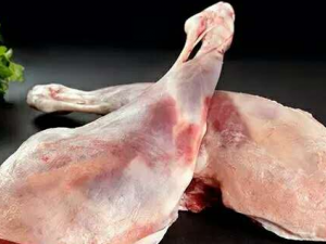 �����������ϻ� ������γ����ⲻ�ϻ�