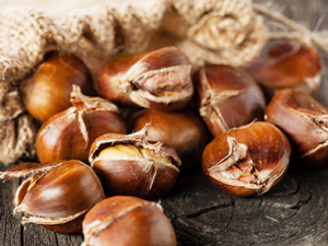 �����Ĺ�������Щ ��ʳ�����ɲ���